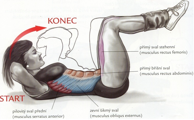 SKRACOVAČKY